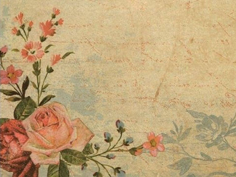 亲吻爹娘（江岸）