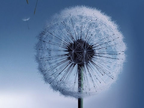 唐诗宋词到底谁更豪放?