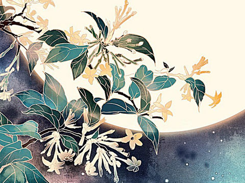登泰山记  姚鼐