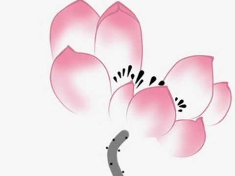 男人的幸运与女人的不幸