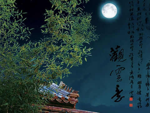假使我们不去打仗 田间