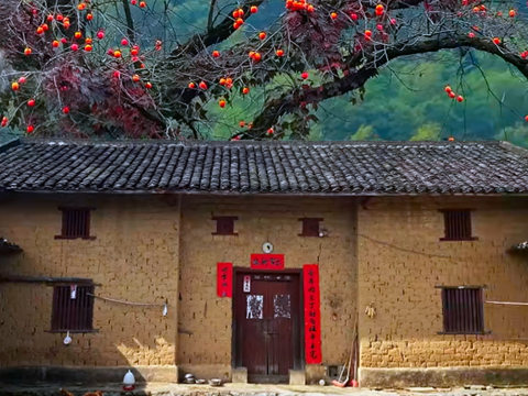 爱归里