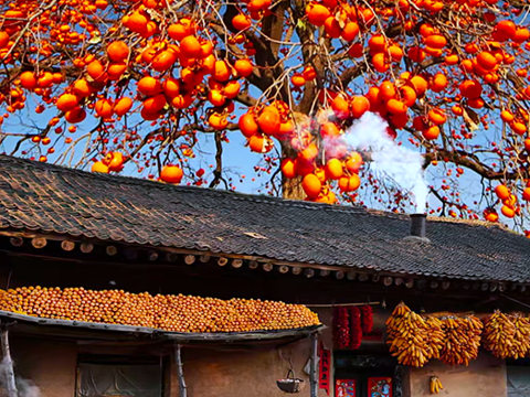 过河（周涛）