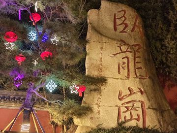 矫揉造作的贫穷 托马斯·卡鲁 （英国）